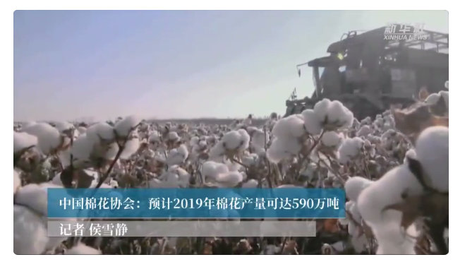 1577613658481076.png 中国棉花协会:预计2019年棉花产量可达590万吨