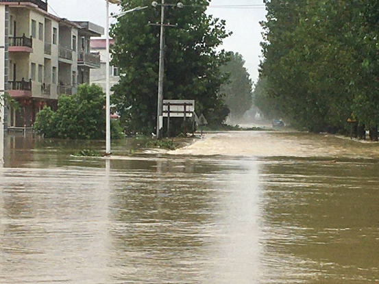 1594615551100190.png 长江流域部分棉田遭受洪涝灾害